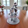 Figurine Biologiste Femme